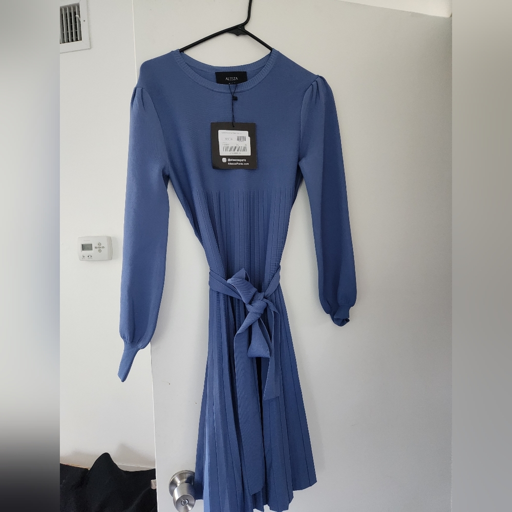 Aleeza Paris dress